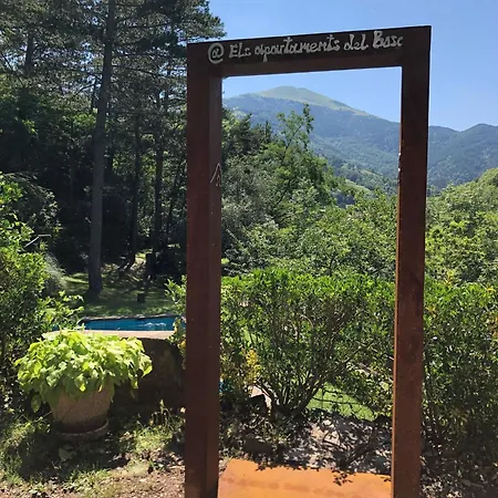 Bonavista - Els Del Bosc *